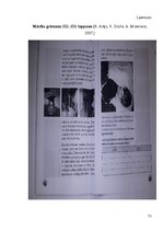 Term Papers 'Veselīgs dzīvesveids” apguve dabaszinībās 3. klasē', 72.