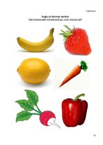 Term Papers 'Veselīgs dzīvesveids” apguve dabaszinībās 3. klasē', 76.