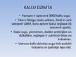 Presentations 'Kallu dzimta', 2.
