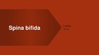 Presentations 'Spina bifida - fzioterapija', 1.