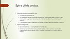 Presentations 'Spina bifida - fzioterapija', 5.