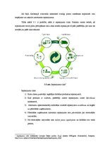 Term Papers 'Latvijas atkritumu apsaimniekošana un apkārtējā vide ilgtspējīgas attīstības pro', 20.
