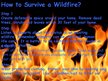 Research Papers 'Forest Firesor Wildfires', 4.