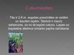 Presentations 'Pārtikā izmantojamie Dienvidamerikas augi', 10.