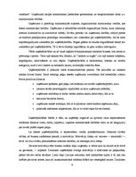 Research Papers 'Fotosalona ekonomiskās darbības plānošana un analīze', 9.
