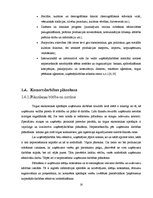 Research Papers 'Fotosalona ekonomiskās darbības plānošana un analīze', 16.