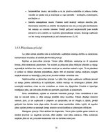 Research Papers 'Fotosalona ekonomiskās darbības plānošana un analīze', 20.