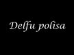 Presentations 'Delfu polisa', 1.