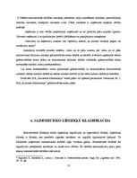 Term Papers 'Grāmatvedības darba organizācija SIA "Kurzemes filharmonija"', 18.