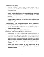 Term Papers 'Grāmatvedības darba organizācija SIA "Kurzemes filharmonija"', 19.