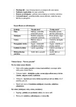 Summaries, Notes 'Bērnu un jauniešu literatūra I', 8.