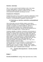 Practice Reports 'PEDAGOĢISKĀ PROCESA VĒROJUMU PRAKSE', 27.