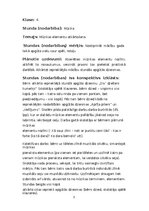 Practice Reports 'PEDAGOĢISKĀ PROCESA VĒROJUMU PRAKSE', 33.