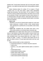 Term Papers 'Informācijas apmaiņas risinājumi Latvijas Republikas Valsts zemes dienestā', 41.