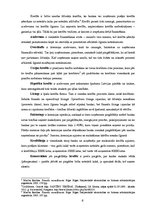 Research Papers 'SIA "Màdara Cosmetics" kapitāla struktūras un cenas analīze', 6.