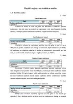 Research Papers 'SIA "Màdara Cosmetics" kapitāla struktūras un cenas analīze', 13.
