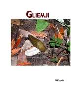 Research Papers 'Gliemji', 1.