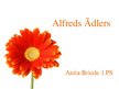 Presentations 'Alfreds Ādlers', 1.