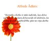 Presentations 'Alfreds Ādlers', 3.