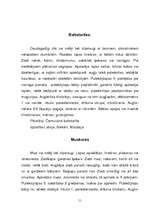 Research Papers 'Liliju dzimta', 11.