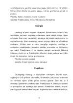 Research Papers 'Liliju dzimta', 12.