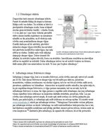 Essays 'Viļņu fizika un skaņa medicīnā. Ultraskaņa un infraskaņa medicīniskajā diagnosti', 4.