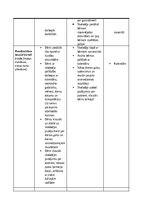 Practice Reports 'Pirmsskolas skolotāja pedagoģiskā prakse pirmsskolas izglītības iestādē “x”', 17.