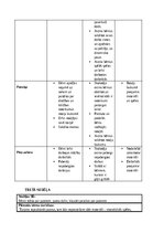 Practice Reports 'Pirmsskolas skolotāja pedagoģiskā prakse pirmsskolas izglītības iestādē “x”', 22.