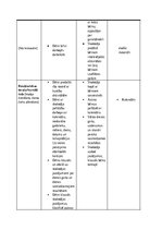 Practice Reports 'Pirmsskolas skolotāja pedagoģiskā prakse pirmsskolas izglītības iestādē “x”', 24.