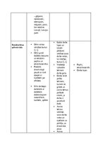 Practice Reports 'Pirmsskolas skolotāja pedagoģiskā prakse pirmsskolas izglītības iestādē “x”', 25.