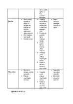 Practice Reports 'Pirmsskolas skolotāja pedagoģiskā prakse pirmsskolas izglītības iestādē “x”', 26.