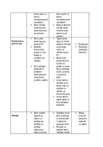 Practice Reports 'Pirmsskolas skolotāja pedagoģiskā prakse pirmsskolas izglītības iestādē “x”', 29.