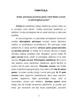 Research Papers 'Jaunatnes socioloģija', 3.