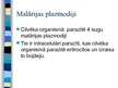 Presentations 'Odi un malārijas plazmodiju izraisītā malārija', 5.