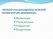 Presentations 'Barbarismi, žargonismi, vulgārismi latviešu valodā', 2.