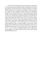 Essays 'Kaķu durtiņu uzstādīšana', 1.