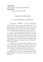 Research Papers 'Latvijas un Japānas kultūras salīdzinājums', 4.
