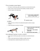 Summaries, Notes 'Vingrinājumi tricepsa un krūšu muskultūrai', 3.