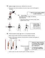 Summaries, Notes 'Vingrinājumi tricepsa un krūšu muskultūrai', 8.