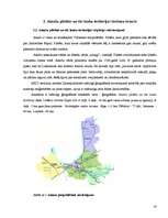 Research Papers 'Tūrisma attīstības iespējas Ainažu pilsētā un tās lauku teritorijā', 14.