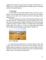 Research Papers 'Tūrisma attīstības iespējas Ainažu pilsētā un tās lauku teritorijā', 20.