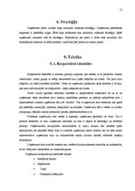Research Papers 'Mārketinga komunikāciju plāns SIA "Lāči"', 12.