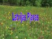 Presentations 'Latvijas pļavas', 1.