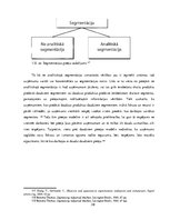 Term Papers 'Klientu bāzes segmentācija un vadība starptautiskā uzņēmumā', 39.