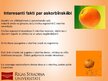 Presentations 'Askorbīnskābe jeb C vitamīns', 17.