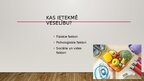 Presentations 'Jēdzienu veselība un slimība interpretācija prezentācijas autora skatījumā - 4. ', 3.