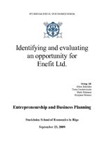 Research Papers 'Identifying and Evaluating Opportunity for Enefit Ltd.', 1.
