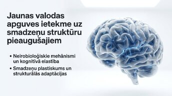 Presentations 'Jaunas valodas apguves ietekme uz smadzeņu struktūru pieaugušajiem', 1.