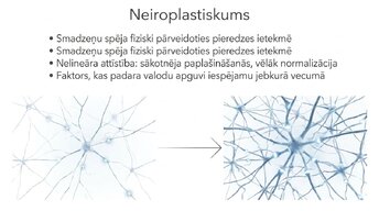 Presentations 'Jaunas valodas apguves ietekme uz smadzeņu struktūru pieaugušajiem', 11.