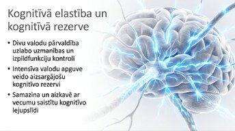 Presentations 'Jaunas valodas apguves ietekme uz smadzeņu struktūru pieaugušajiem', 13.